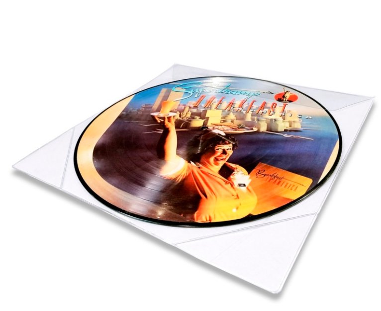 imagen de un picture disc